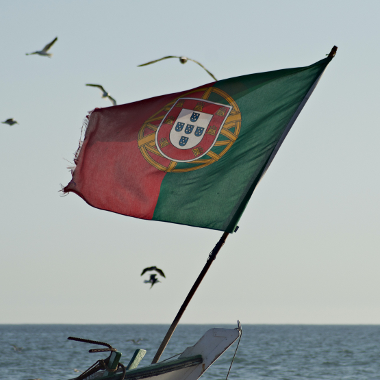 Czwartkowe Forum SGH: Rynki portugalskojęzyczne – potencjał do wykorzystania?