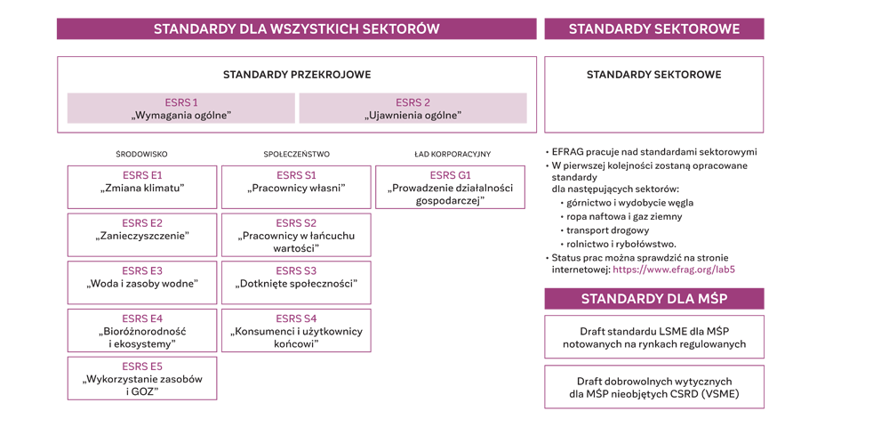 rysunek: Struktura standardów raportowania zrównoważonego rozwoju ESRS