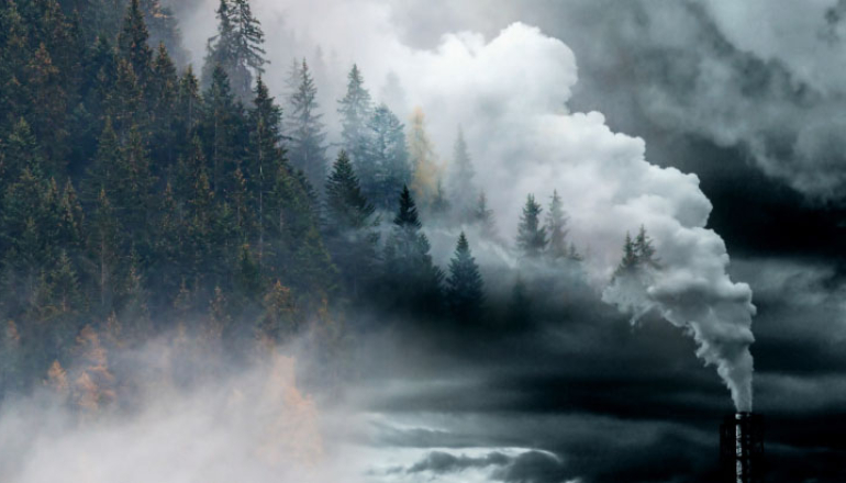 zdjęcie, kominy dymiące na gęsty las