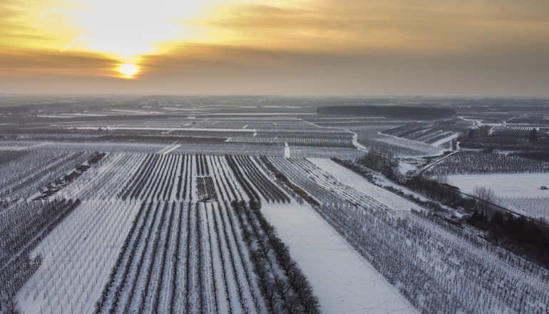 pole zima przy wschodzie słońca