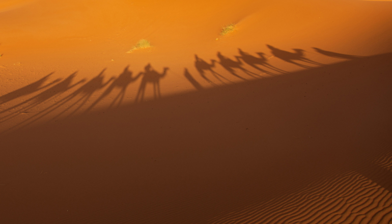 cień karawany na pustyni