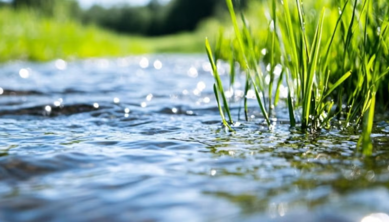 zdjęcie płynącej wody i zielonego nabrzeża