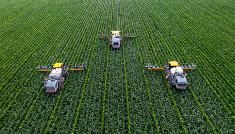 trzy kombajny pracują na zasianym polu