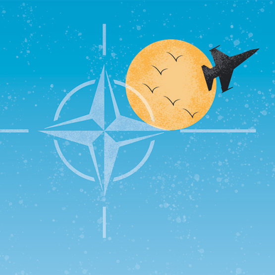 grafika przedstawiająca symbol NATO, słońce oraz samolot odrzutowy, bojowy. Na tle słońca 5 ptaków lecących w kluczu
