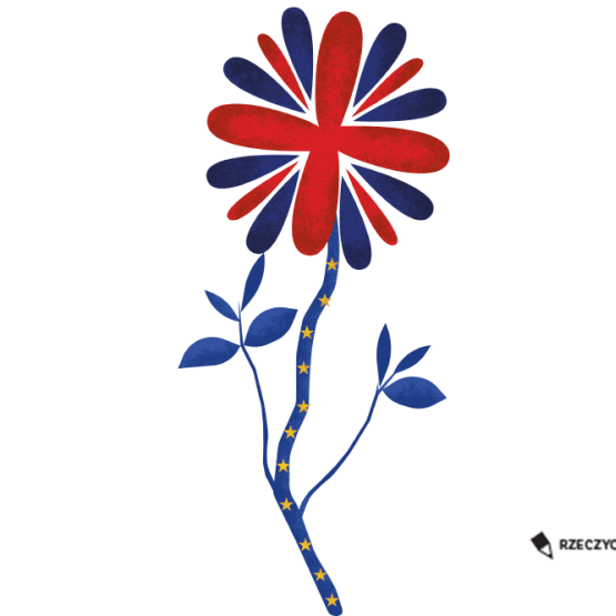 kwiatek stylizowany na flagę angielską z łodygą granatową w gwiazdki