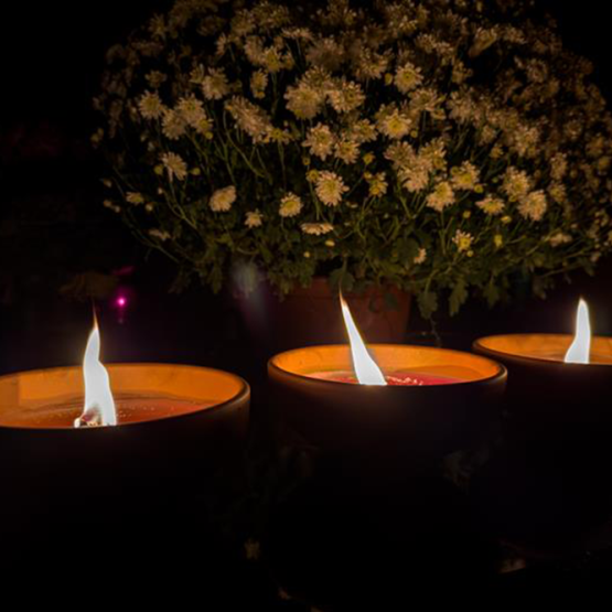 trzy ceramiczne znicze płonące na nagrobku stojące obok kwiecistej chryzantemy