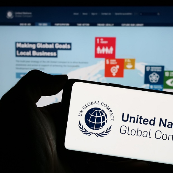 w dłoni trzymany telefon komórkowy, na którym wyświetla sie logo i napis United Nations Global Compact, w tle na dużym ekranie wyswietlana prezentacja