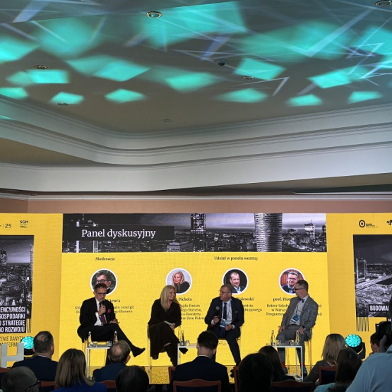 zdjęcie z panelu