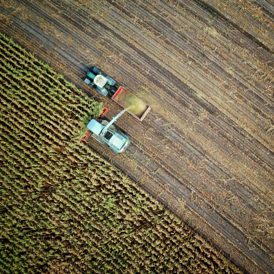 traktor i kombajn pracują na polu; zdjęcie z lotu ptaka