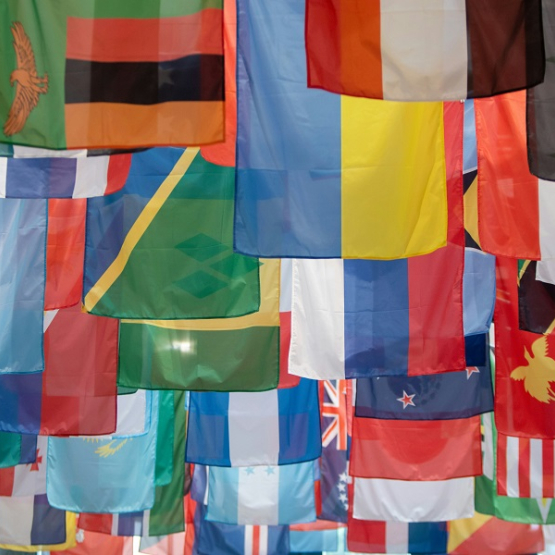 zdjęcie kilkudziesięciu flag państwowych 