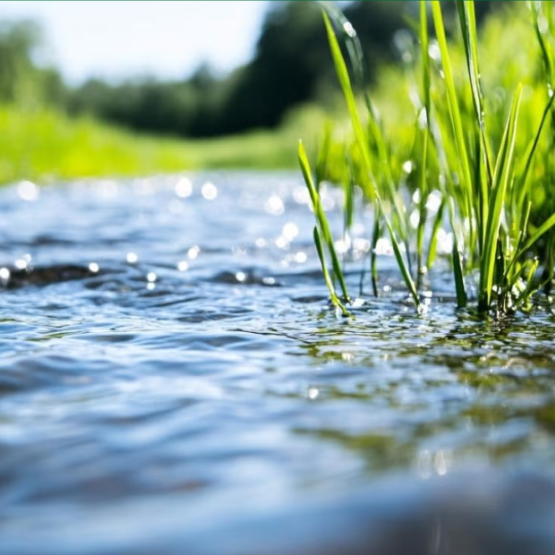 zdjęcie płynącej wody i zielonego nabrzeża