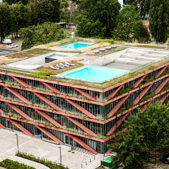 Projekt dwóch basenów na dachu nowoczesnego budynku