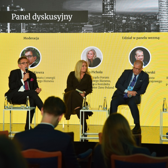 zdjęcia z panelu