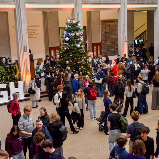 kilkadziesiąt osób ubiera choinkę na uczelni