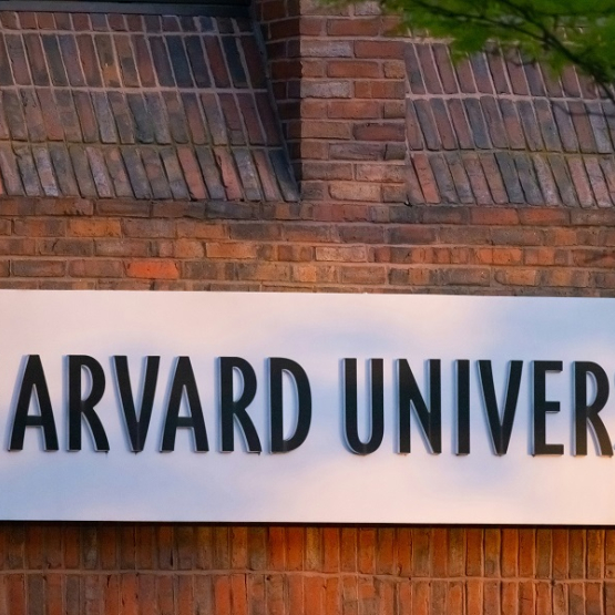 zdjęcie muru z cegieł z napisem Harvard University