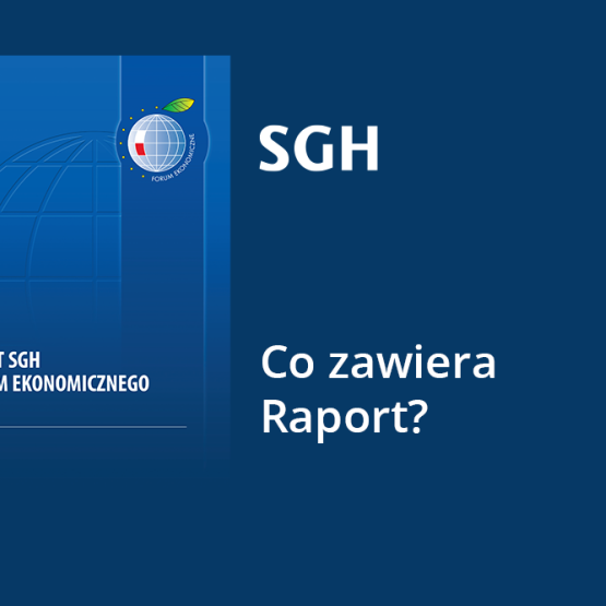 na grafice okładka Raportu SGH i FE oraz napis: Co zawiera Raport?