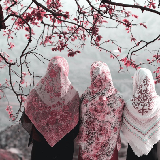 trzy kobiety muzułmańskie w chustach odwrócone tyłem; w tle kwitnące drzewo