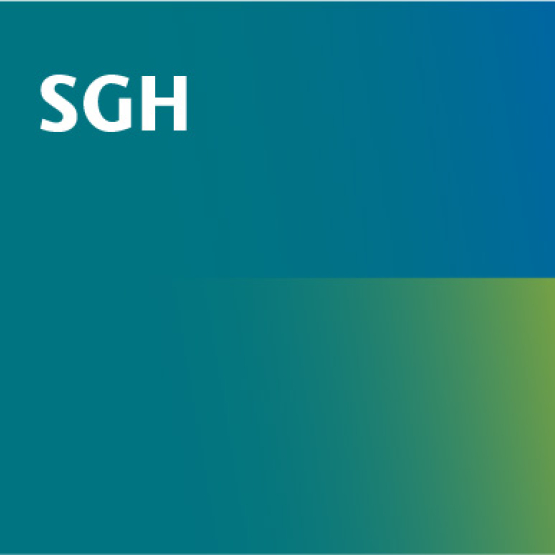 graphics with the flag of Ukraine and the logo of SGH