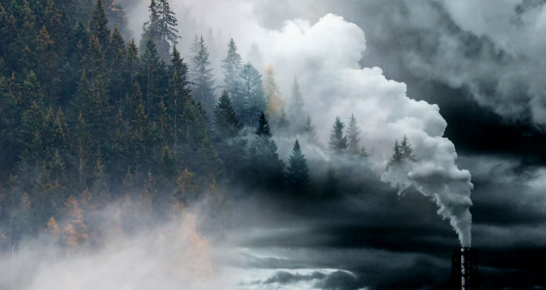 zdjęcie, kominy dymiące na gęsty las