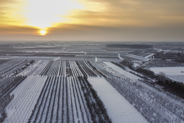 pole zima przy wschodzie słońca