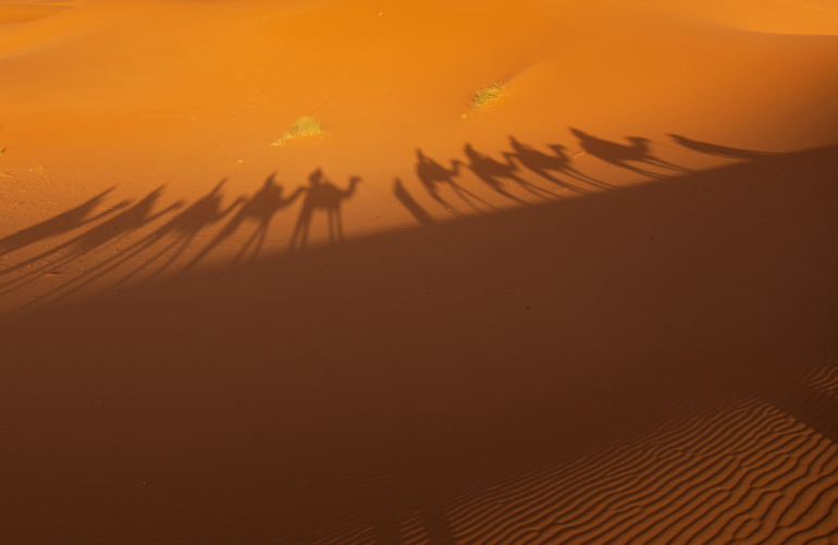 cień karawany na pustyni