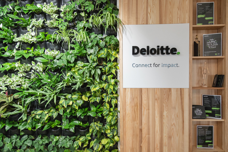 Deloitte –  pozytywny wpływ w SGH